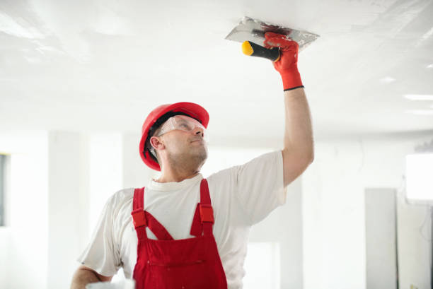 Mold Odor Removal Services in Carlisle, PA